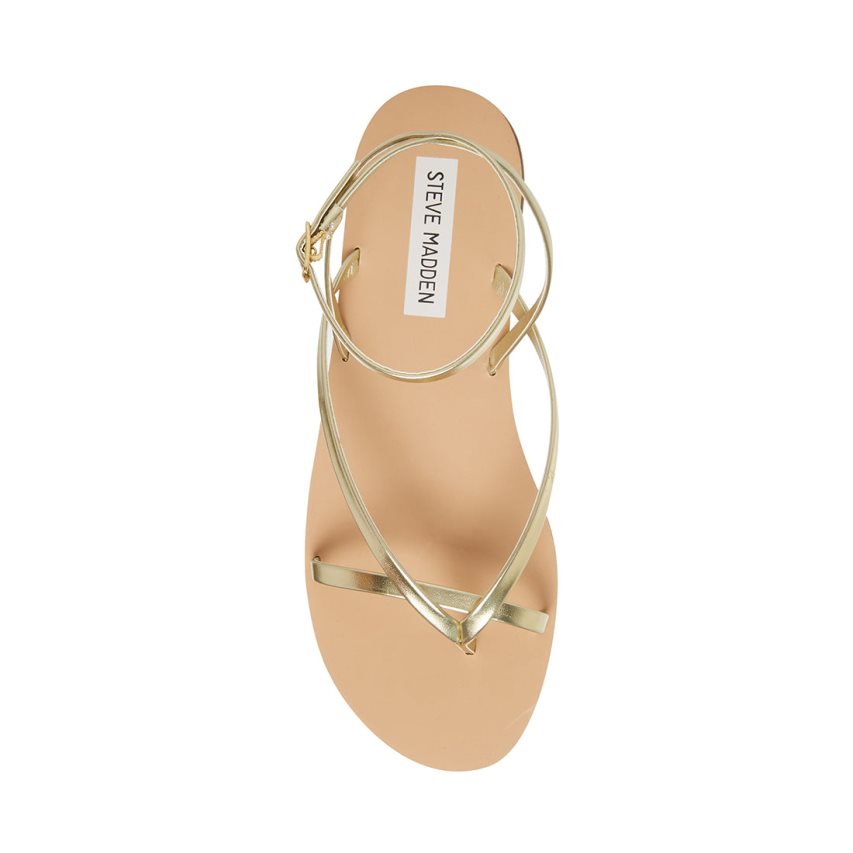 Gold Steve Madden Amuse Women's Flat Sandals | PH 0896ISJ